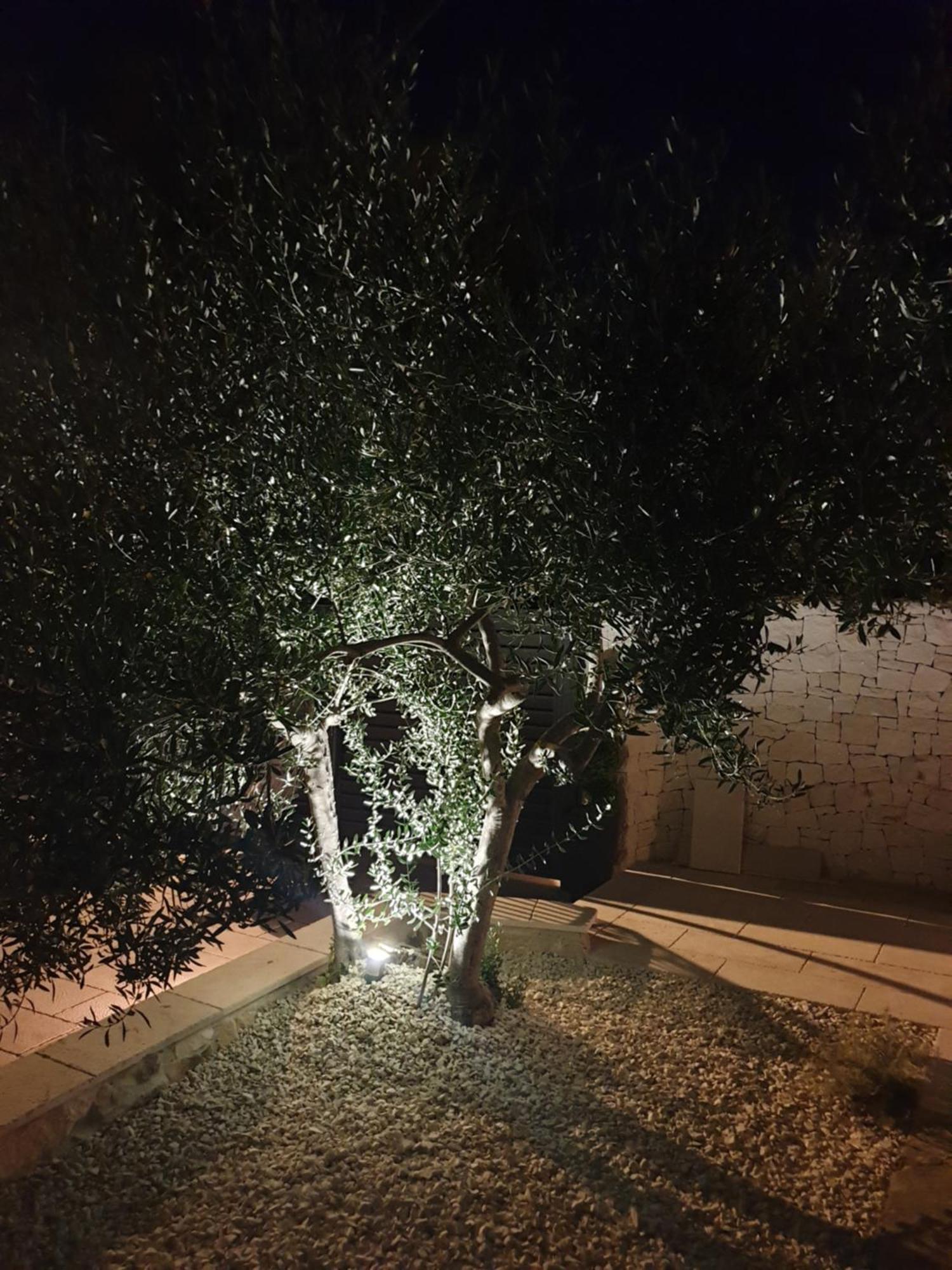 סופטאר Villa Sarah מראה חיצוני תמונה